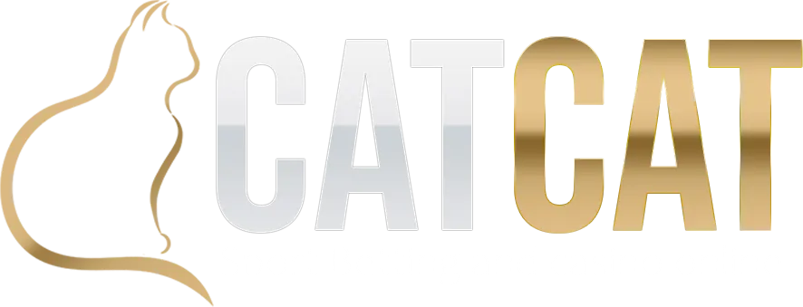 betcatcat เว็บสล็อตตรงยอดฮิต ระบบทันสมัย ปลอดภัย มั่นใจได้ทุกการเดิมพัน